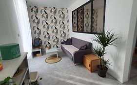 Roanne Centre, Appartement Refait A Neuf.