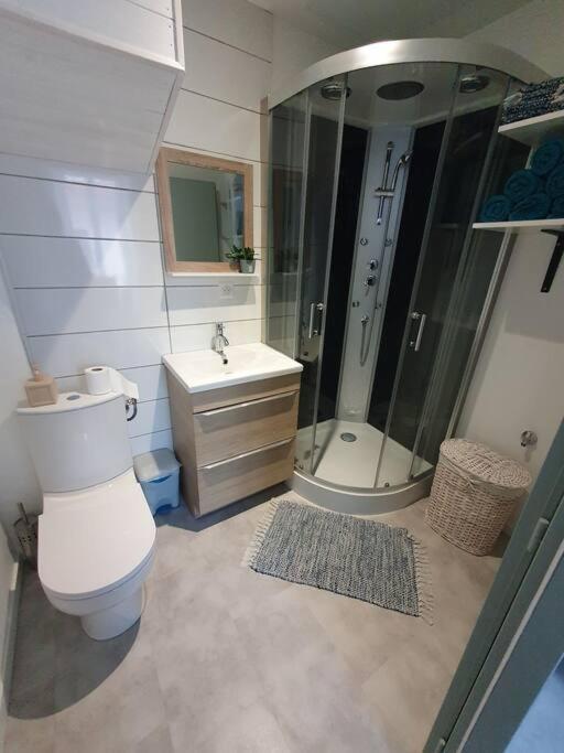 Roanne Centre, Appartement Refait A Neuf. Extérieur photo