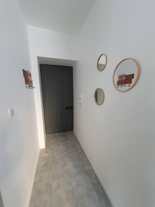 Roanne Centre, Appartement Refait A Neuf. Extérieur photo